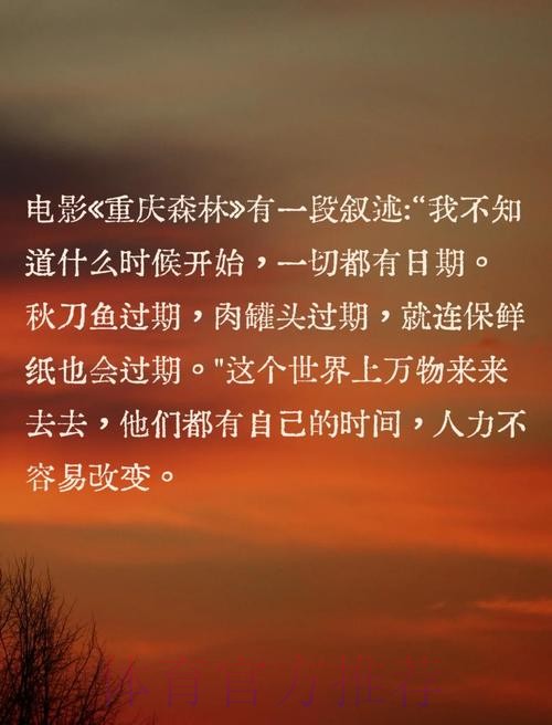 齐祖:为了所有人好有些时刻要留下 有时就得离开 齐祖:为了所有人好有些时刻要留下 有时就得离开