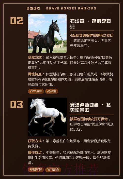 邊緣貴馬求生記 邊緣貴馬求生記