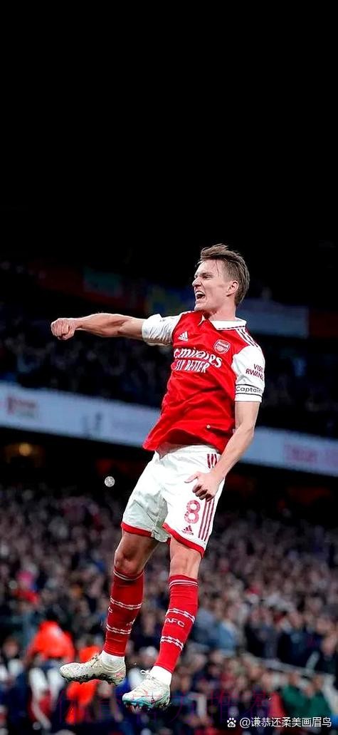 枪手在与皇马谈厄德高 转会费3500万镑至4千万镑 枪手在与皇马谈厄德高 转会费3500万镑至4千万镑